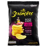 Batata Frita Lisa Peito de Peru Elma Chips Pacote 45g