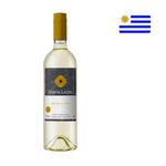 Vinho Branco Uruguaio SANTA LAURA Sauvignon Blanc