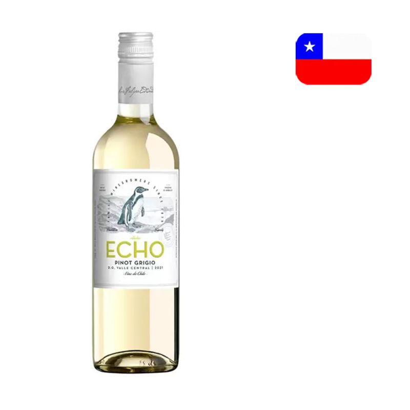 Vinho Branco Chileno ECHO Pinot Grigio