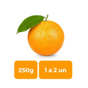 Laranja Bahia Aproximadamente 250g