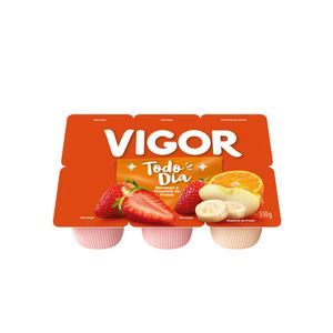 Bebida Láctea VIGOR Polpa Vitamina 510g