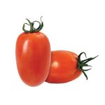 Tomate-ITALIANO-M-kg