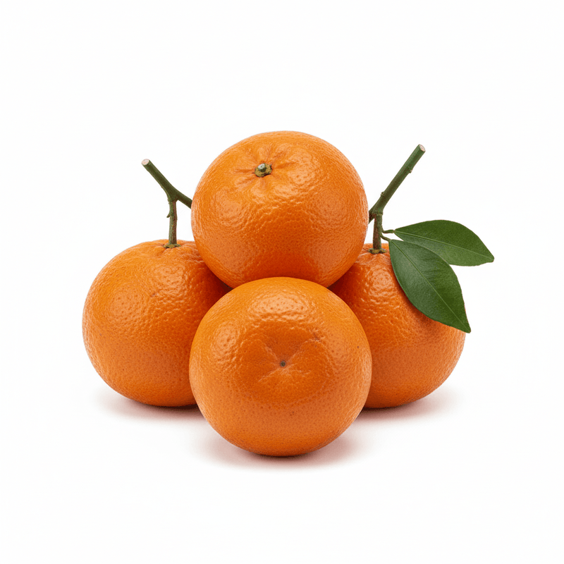 25344-1788530094099.png