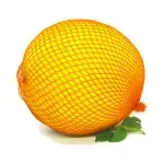 234553-300-300.webp
