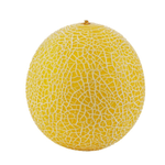 49016-1788893622228.png